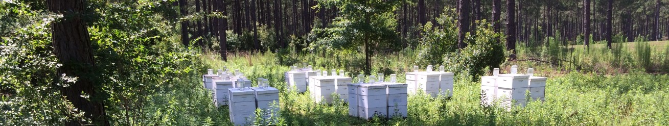 Georgia Bee Supply – Bees, Queens, Honey, And More